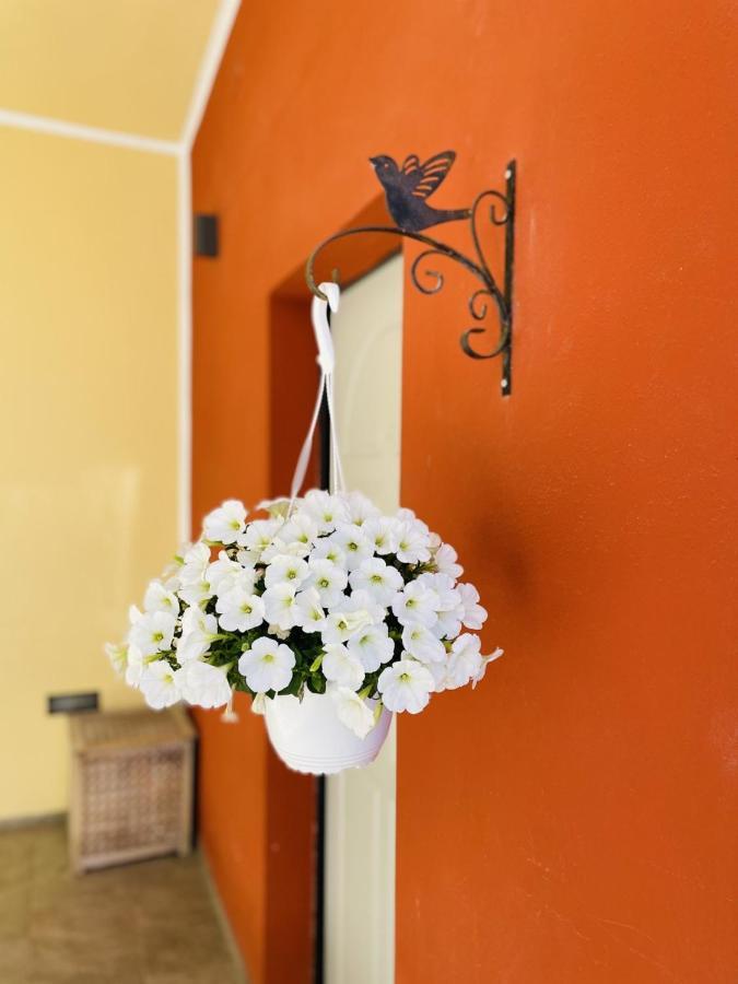 Il Giardino Di Iole Via Giovanni Amendola N36 Bed and Breakfast Sassari Exterior foto